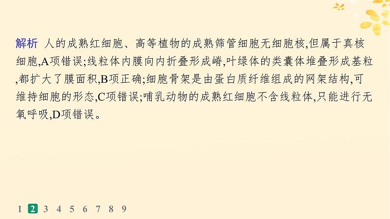 备战2025届新高考生物一轮总复习第2单元细胞的基本结构及物质运输课时规范练6细胞器与生物膜系统课件06