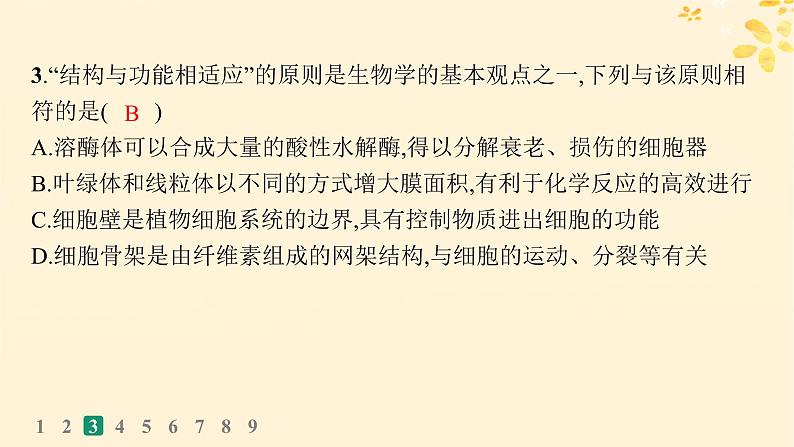 备战2025届新高考生物一轮总复习第2单元细胞的基本结构及物质运输课时规范练6细胞器与生物膜系统课件07