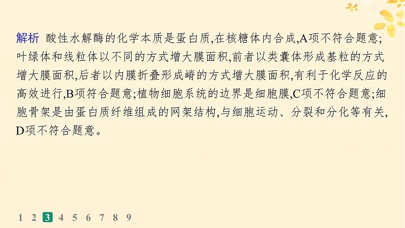 备战2025届新高考生物一轮总复习第2单元细胞的基本结构及物质运输课时规范练6细胞器与生物膜系统课件08