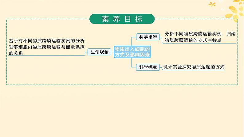 备战2025届新高考生物一轮总复习第2单元细胞的基本结构及物质运输第9讲物质出入细胞的方式及影响因素课件02