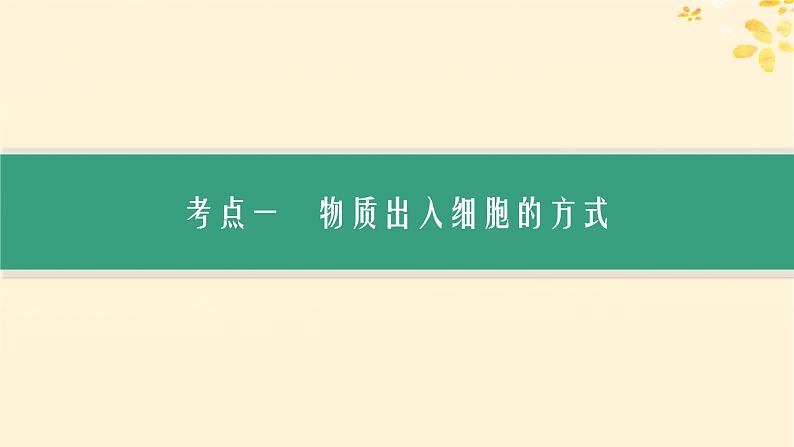 备战2025届新高考生物一轮总复习第2单元细胞的基本结构及物质运输第9讲物质出入细胞的方式及影响因素课件03