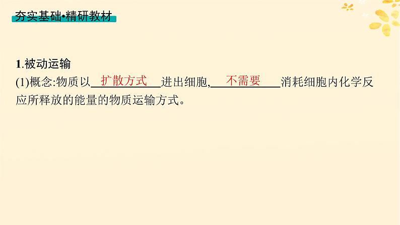 备战2025届新高考生物一轮总复习第2单元细胞的基本结构及物质运输第9讲物质出入细胞的方式及影响因素课件04