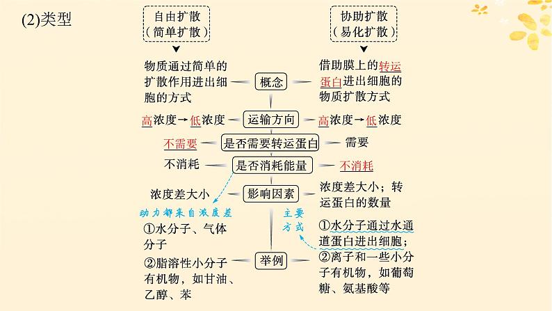 备战2025届新高考生物一轮总复习第2单元细胞的基本结构及物质运输第9讲物质出入细胞的方式及影响因素课件05