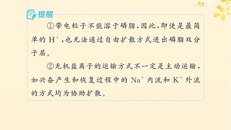 备战2025届新高考生物一轮总复习第2单元细胞的基本结构及物质运输第9讲物质出入细胞的方式及影响因素课件06