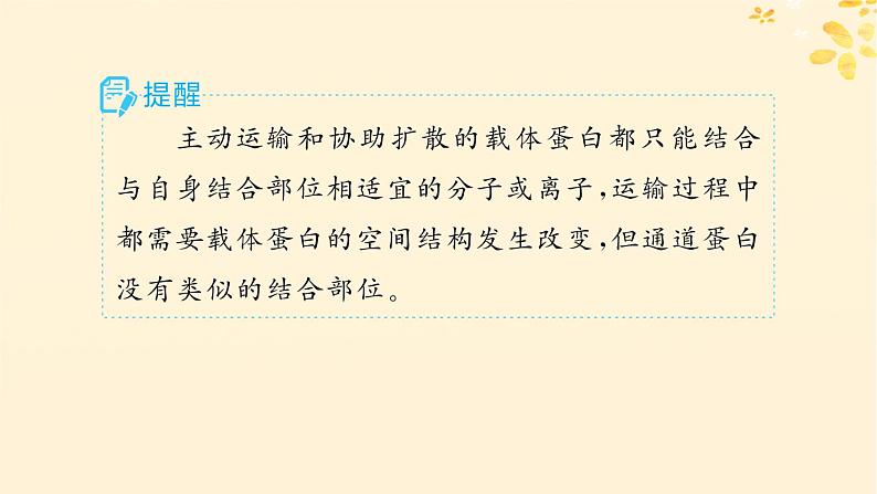 备战2025届新高考生物一轮总复习第2单元细胞的基本结构及物质运输第9讲物质出入细胞的方式及影响因素课件08