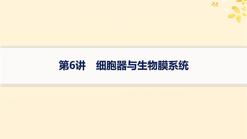 备战2025届新高考生物一轮总复习第2单元细胞的基本结构及物质运输第6讲细胞器与生物膜系统课件01