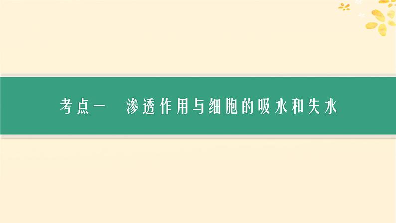 备战2025届新高考生物一轮总复习第2单元细胞的基本结构及物质运输第8讲水进出细胞的原理课件第3页