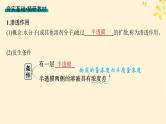 备战2025届新高考生物一轮总复习第2单元细胞的基本结构及物质运输第8讲水进出细胞的原理课件