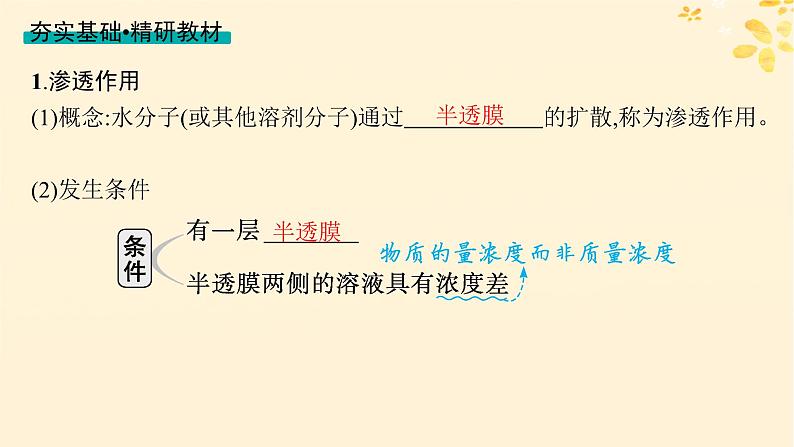 备战2025届新高考生物一轮总复习第2单元细胞的基本结构及物质运输第8讲水进出细胞的原理课件第4页