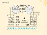 备战2025届新高考生物一轮总复习第2单元细胞的基本结构及物质运输第8讲水进出细胞的原理课件