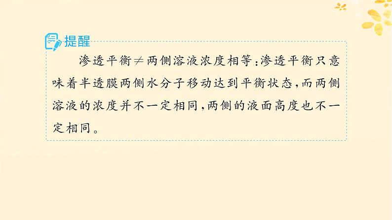 备战2025届新高考生物一轮总复习第2单元细胞的基本结构及物质运输第8讲水进出细胞的原理课件第6页