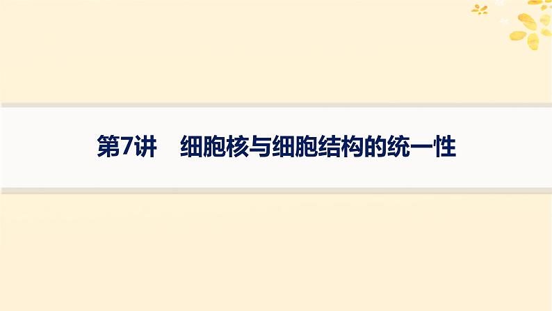 备战2025届新高考生物一轮总复习第2单元细胞的基本结构及物质运输第7讲细胞核与细胞结构的统一性课件01