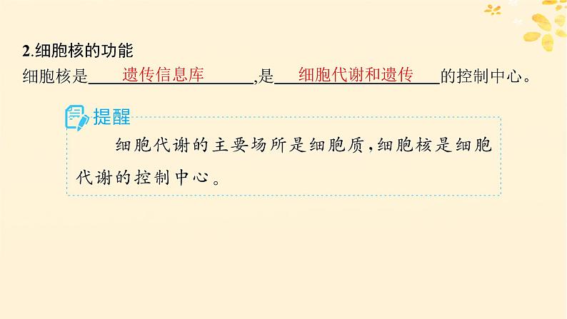 备战2025届新高考生物一轮总复习第2单元细胞的基本结构及物质运输第7讲细胞核与细胞结构的统一性课件07