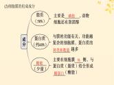 备战2025届新高考生物一轮总复习第2单元细胞的基本结构及物质运输第5讲细胞膜课件