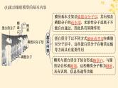 备战2025届新高考生物一轮总复习第2单元细胞的基本结构及物质运输第5讲细胞膜课件