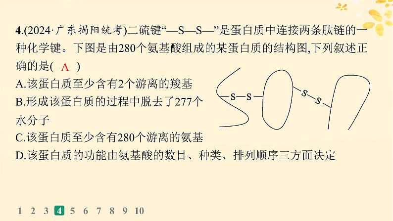 备战2025届新高考生物一轮总复习第1单元细胞的概述细胞的分子组成课时规范练3蛋白质的结构与功能课件08