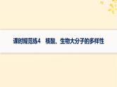 备战2025届新高考生物一轮总复习第1单元细胞的概述细胞的分子组成课时规范练4核酸生物大分子的多样性课件
