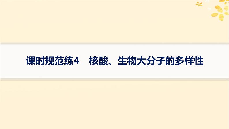 备战2025届新高考生物一轮总复习第1单元细胞的概述细胞的分子组成课时规范练4核酸生物大分子的多样性课件01