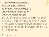 备战2025届新高考生物一轮总复习第1单元细胞的概述细胞的分子组成课时规范练4核酸生物大分子的多样性课件