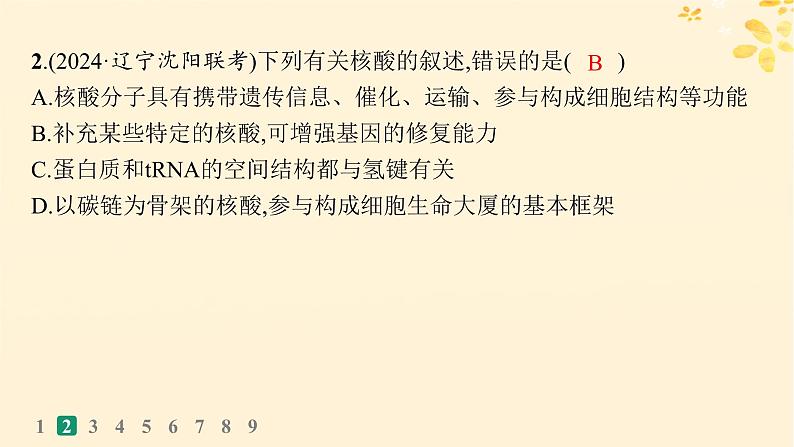 备战2025届新高考生物一轮总复习第1单元细胞的概述细胞的分子组成课时规范练4核酸生物大分子的多样性课件04