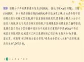 备战2025届新高考生物一轮总复习第1单元细胞的概述细胞的分子组成课时规范练4核酸生物大分子的多样性课件