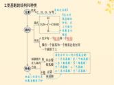 备战2025届新高考生物一轮总复习第1单元细胞的概述细胞的分子组成第3讲蛋白质的结构与功能课件