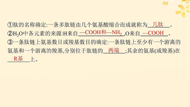 备战2025届新高考生物一轮总复习第1单元细胞的概述细胞的分子组成第3讲蛋白质的结构与功能课件第8页