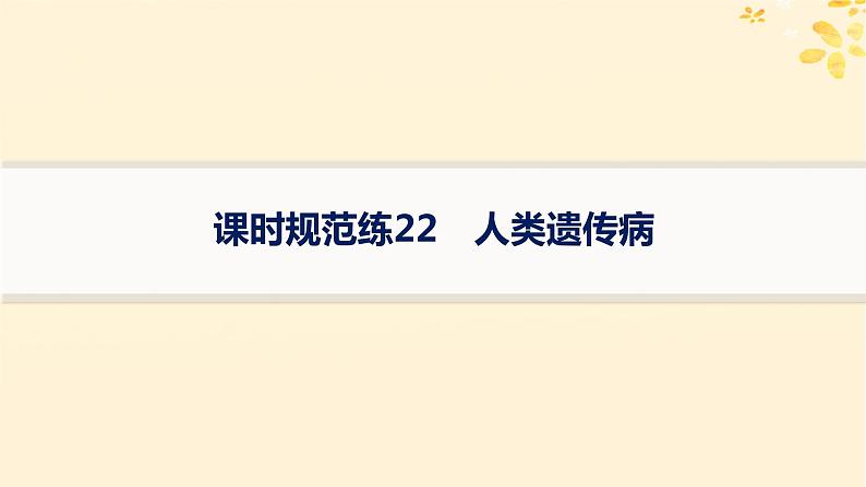 备战2025届新高考生物一轮总复习第5单元孟德尔遗传定律与伴性遗传课时规范练22人类遗传参件课件PPT01