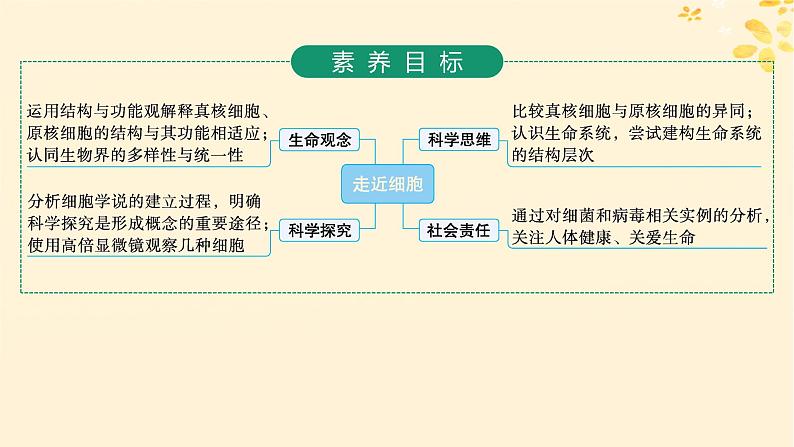 备战2025届新高考生物一轮总复习第1单元细胞的概述细胞的分子组成第1讲走近细胞课件02