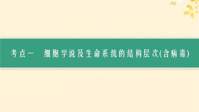 备战2025届新高考生物一轮总复习第1单元细胞的概述细胞的分子组成第1讲走近细胞课件03