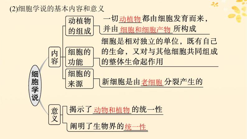 备战2025届新高考生物一轮总复习第1单元细胞的概述细胞的分子组成第1讲走近细胞课件06