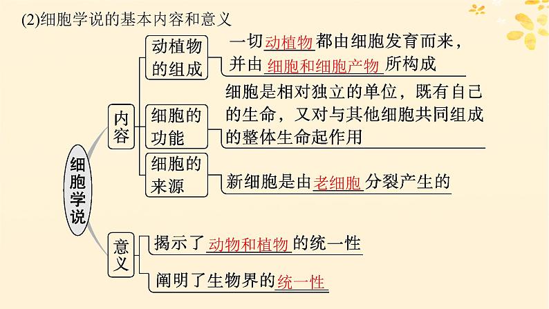 备战2025届新高考生物一轮总复习第1单元细胞的概述细胞的分子组成第1讲走近细胞课件06