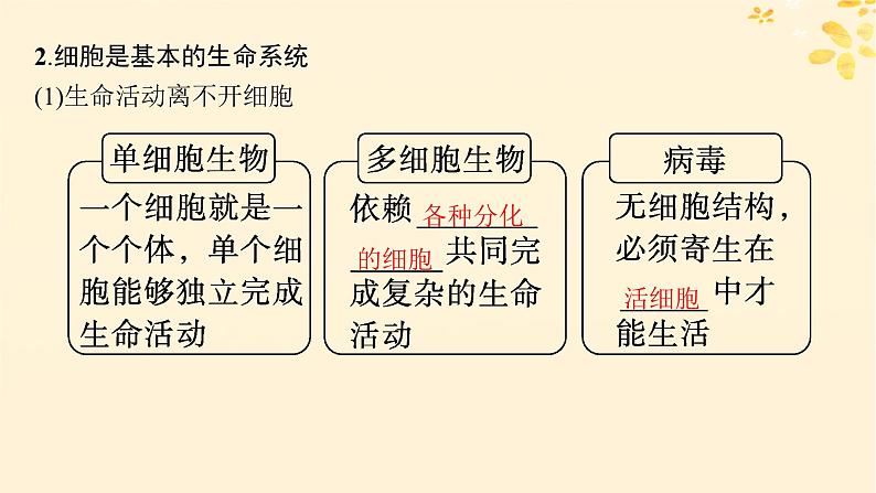 备战2025届新高考生物一轮总复习第1单元细胞的概述细胞的分子组成第1讲走近细胞课件08