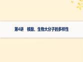 备战2025届新高考生物一轮总复习第1单元细胞的概述细胞的分子组成第4讲核酸生物大分子的多样性课件