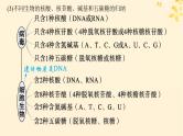备战2025届新高考生物一轮总复习第1单元细胞的概述细胞的分子组成第4讲核酸生物大分子的多样性课件
