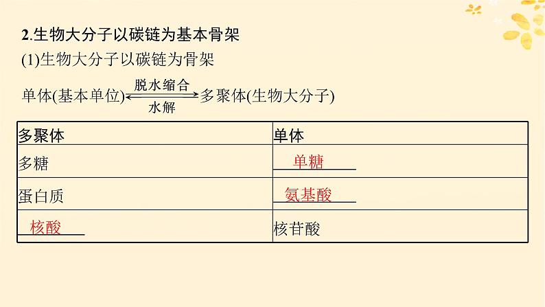 备战2025届新高考生物一轮总复习第1单元细胞的概述细胞的分子组成第4讲核酸生物大分子的多样性课件07