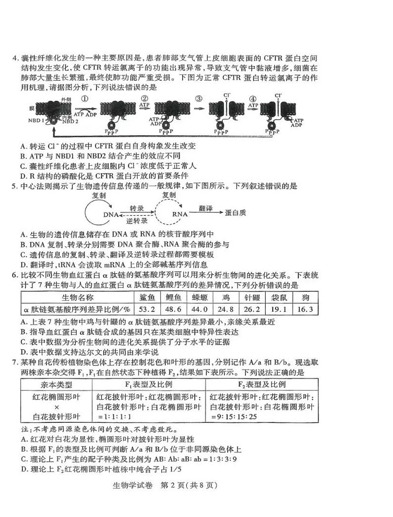 湖北八市生物试卷第2页