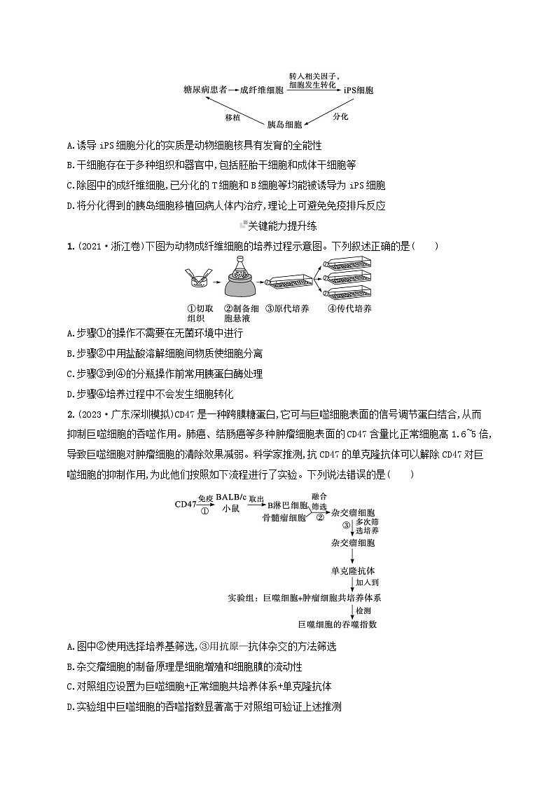 备战2025届新高考生物一轮总复习第10单元生物技术与工程课时规范练50动物细胞工程（附解析）第3页