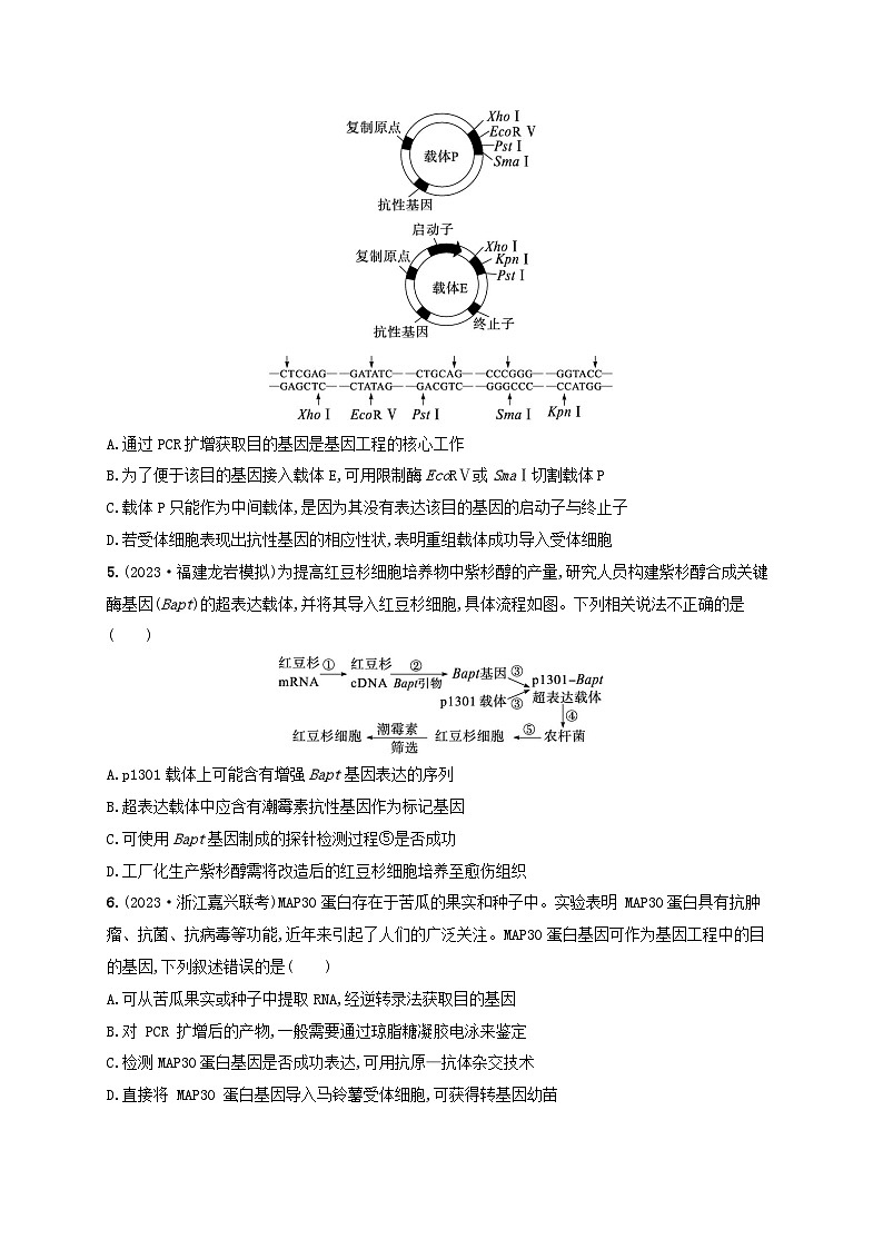 备战2025届新高考生物一轮总复习第10单元生物技术与工程课时规范练52基因工程的基本工具与操作程序（附解析）02