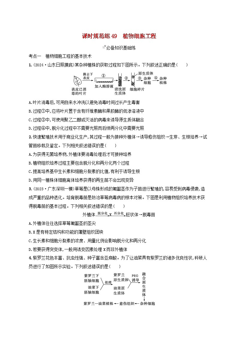 备战2025届新高考生物一轮总复习第10单元生物技术与工程课时规范练49植物细胞工程（附解析）第1页