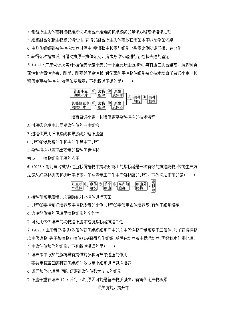 备战2025届新高考生物一轮总复习第10单元生物技术与工程课时规范练49植物细胞工程（附解析）第2页