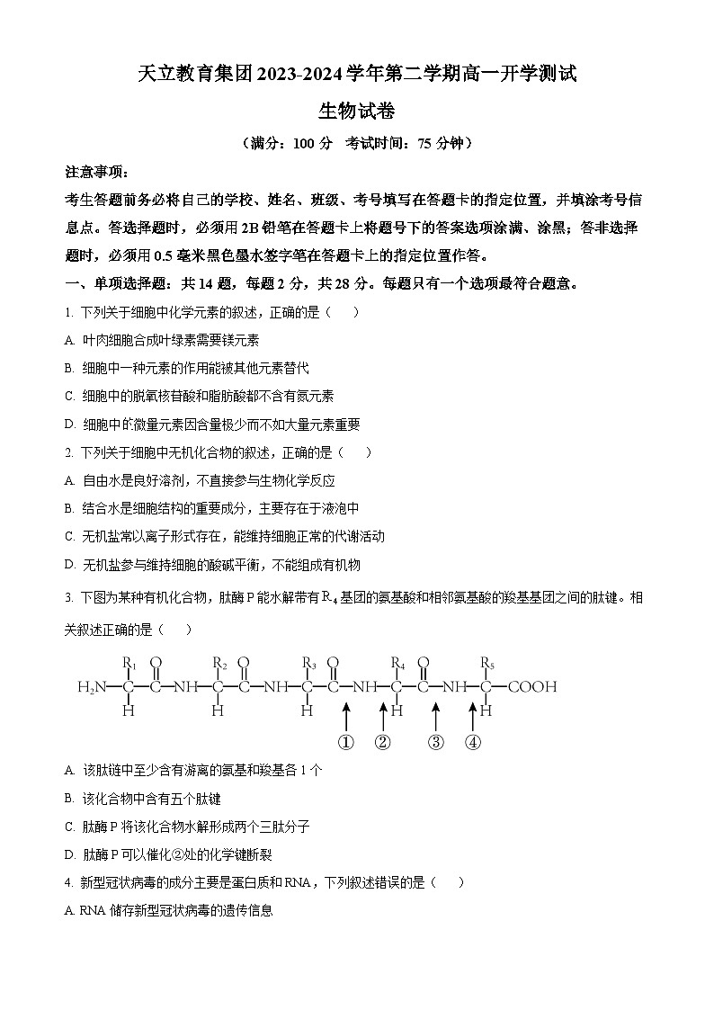 四川省雅安市天立教育集团2023-2024学年高一下学期开学考试生物试卷（Word版附解析）第1页