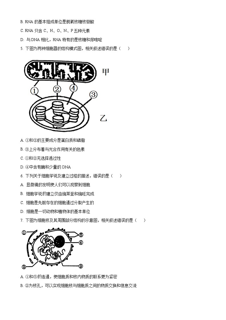 四川省雅安市天立教育集团2023-2024学年高一下学期开学考试生物试卷（Word版附解析）第2页