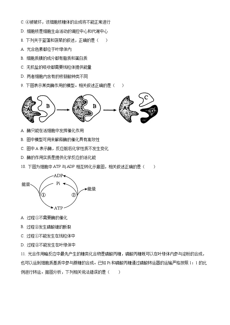 四川省雅安市天立教育集团2023-2024学年高一下学期开学考试生物试卷（Word版附解析）第3页