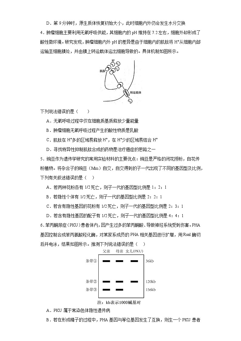 湖南省株洲市一中2021届第一次模拟检测高考生物学科试题02