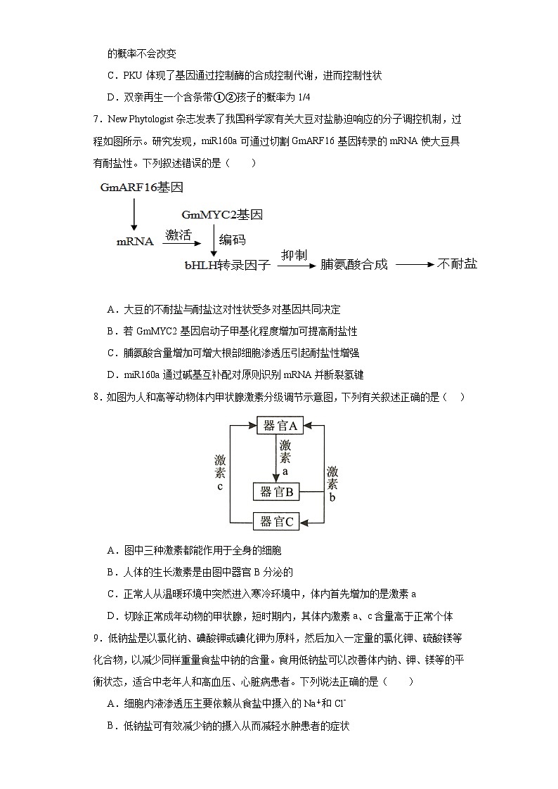 湖南省株洲市一中2021届第一次模拟检测高考生物学科试题03