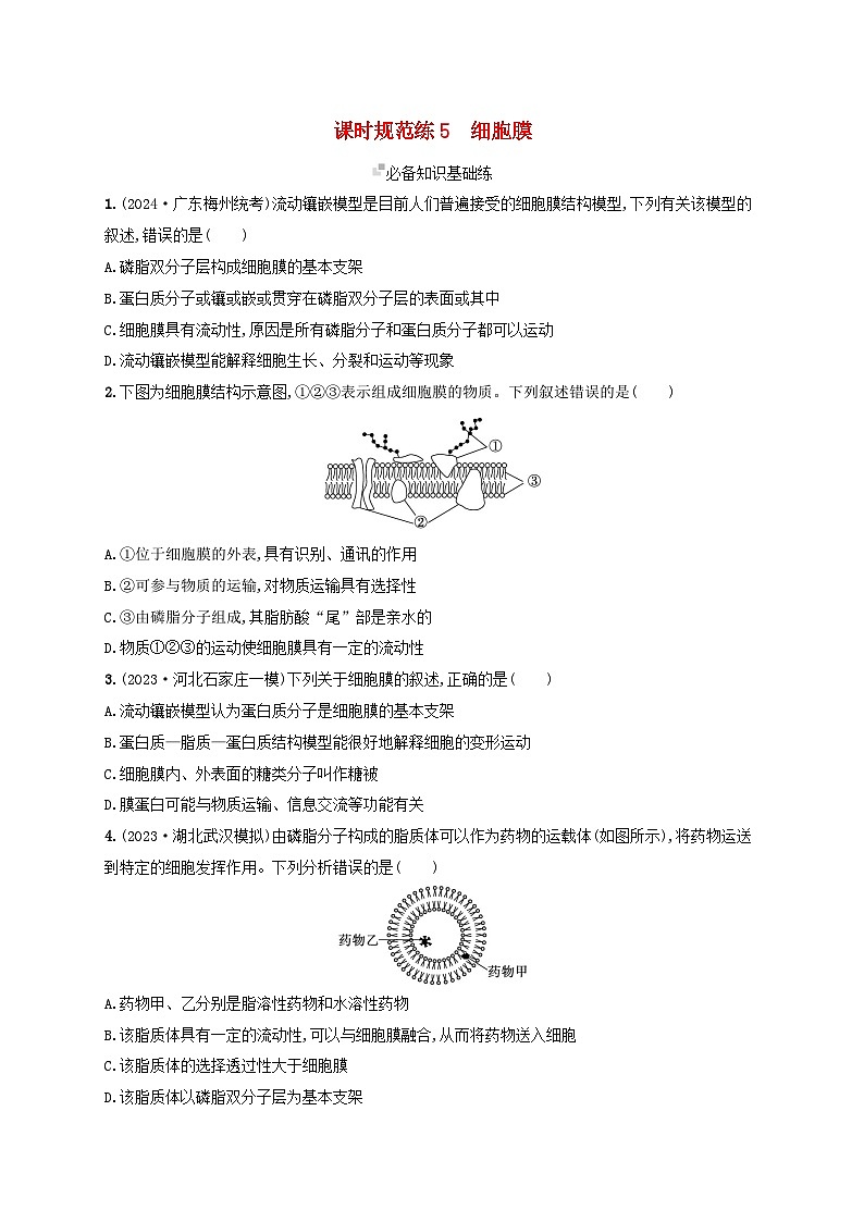 备战2025届高考生物一轮总复习第2单元细胞的基本结构及物质运输课时规范练5细胞膜01