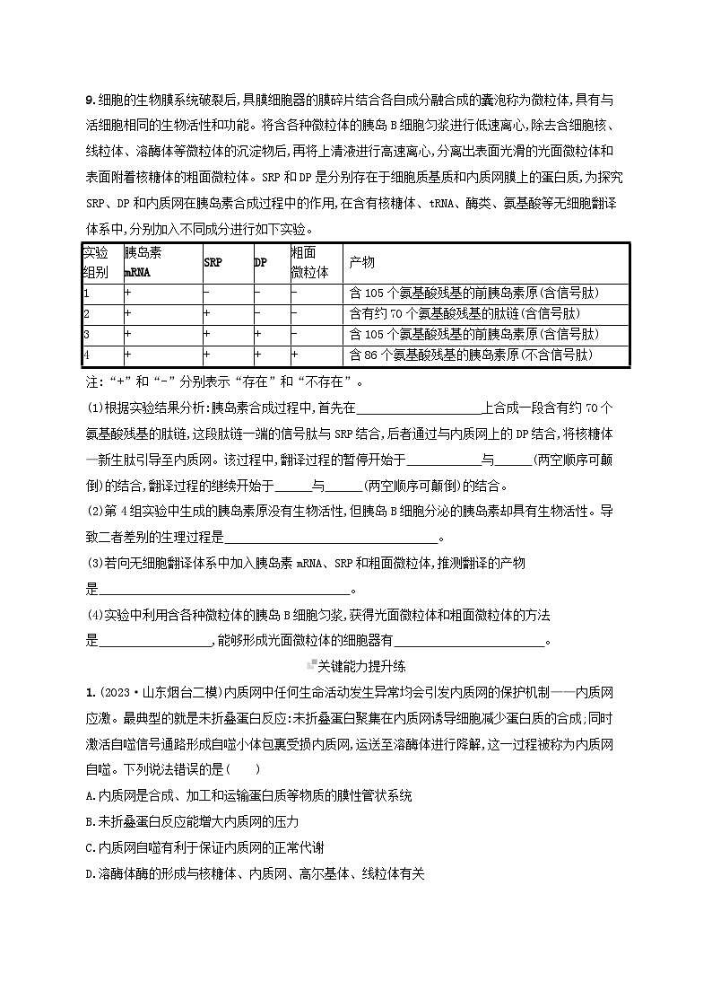 备战2025届高考生物一轮总复习第2单元细胞的基本结构及物质运输课时规范练6细胞器与生物膜系统03