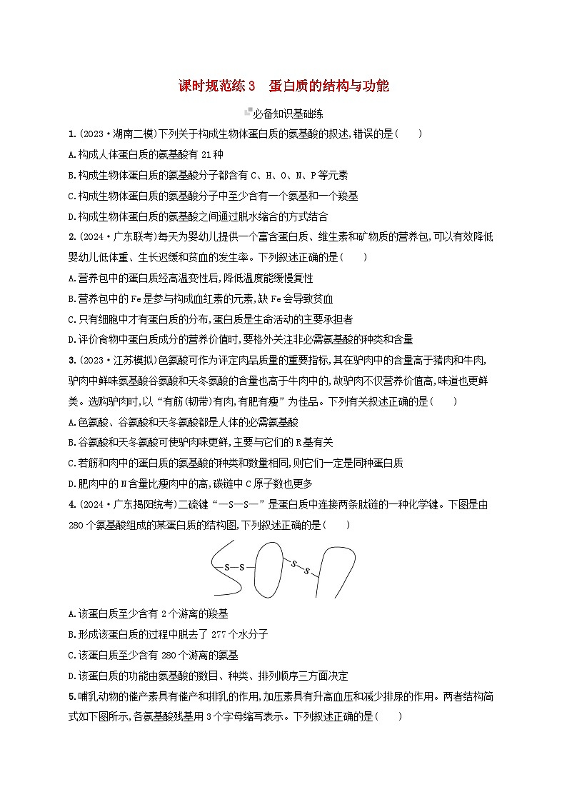 备战2025届高考生物一轮总复习第1单元细胞的概述细胞的分子组成课时规范练3蛋白质的结构与功能01