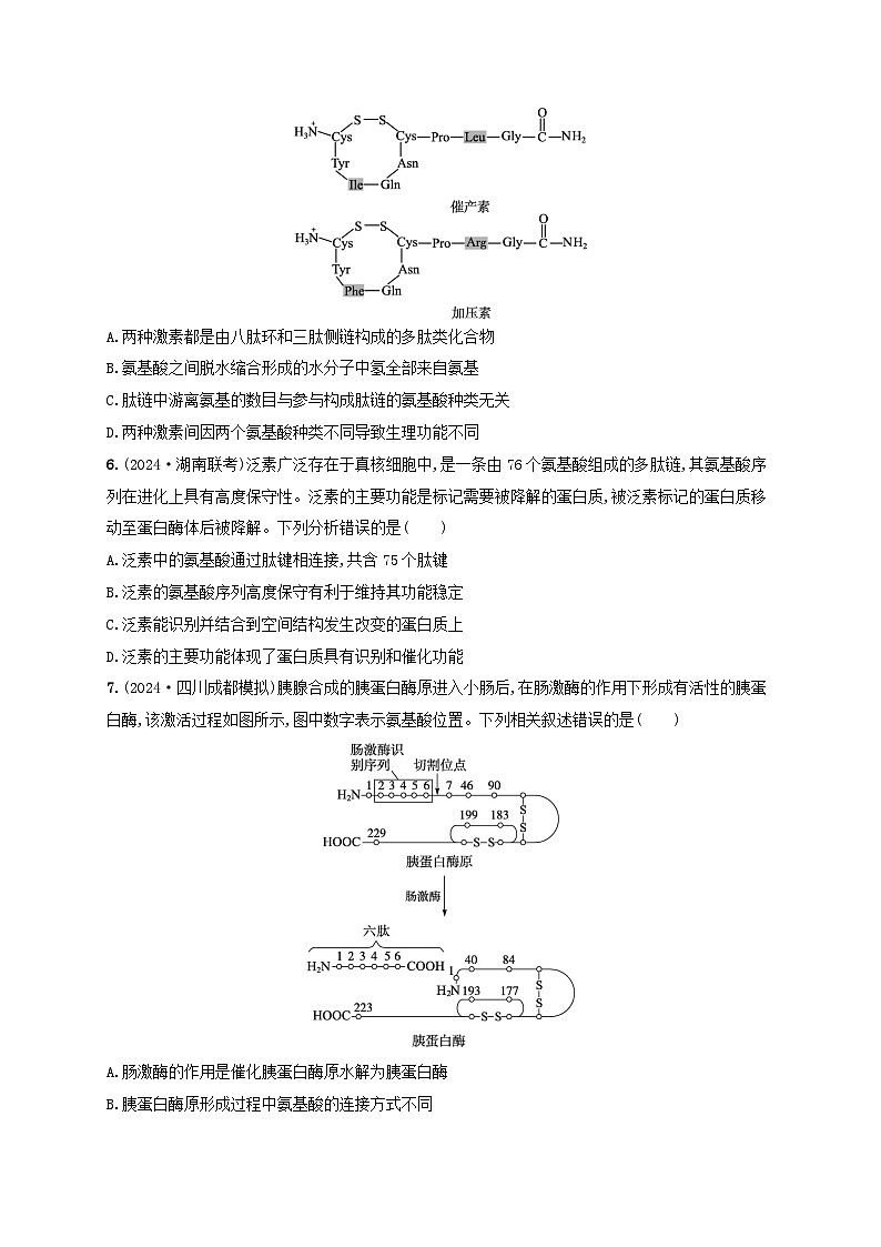 备战2025届高考生物一轮总复习第1单元细胞的概述细胞的分子组成课时规范练3蛋白质的结构与功能02